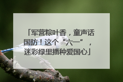 军营粽叶香，童声话国防！这个“六一”，迷彩绿里播种爱国心