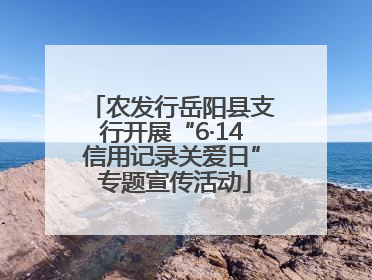 农发行岳阳县支行开展“6·14信用记录关爱日” 专题宣传活动