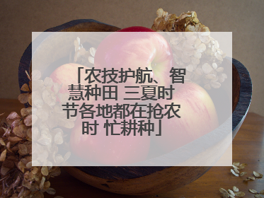 农技护航、智慧种田 三夏时节各地都在抢农时 忙耕种