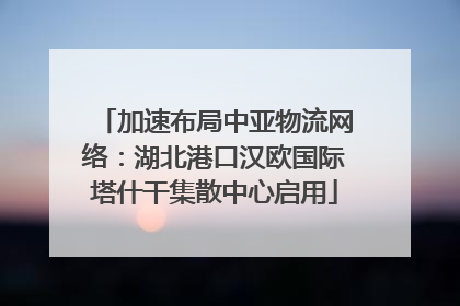 加速布局中亚物流网络：湖北港口汉欧国际塔什干集散中心启用