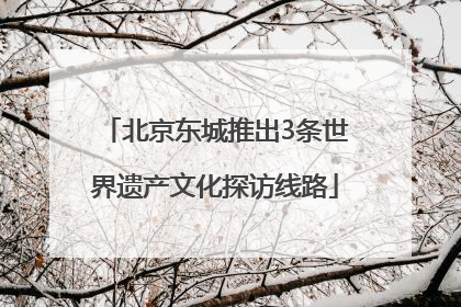 北京东城推出3条世界遗产文化探访线路