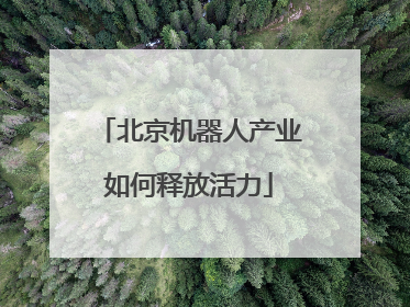 北京机器人产业如何释放活力