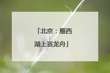 北京：雁西湖上赛龙舟