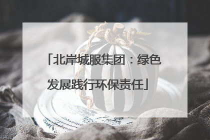 北岸城服集团：绿色发展践行环保责任