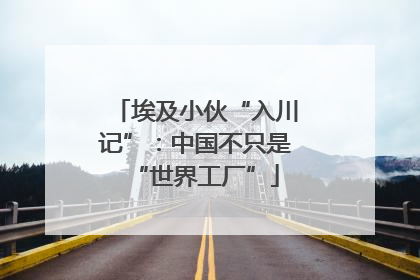 埃及小伙“入川记”：中国不只是“世界工厂”