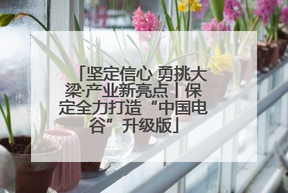 坚定信心 勇挑大梁·产业新亮点丨保定全力打造“中国电谷”升级版