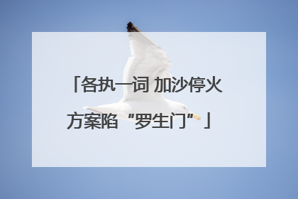 各执一词 加沙停火方案陷“罗生门”
