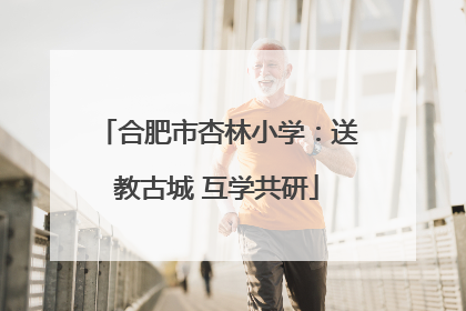 合肥市杏林小学：送教古城 互学共研