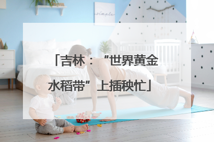 吉林：“世界黄金水稻带”上插秧忙