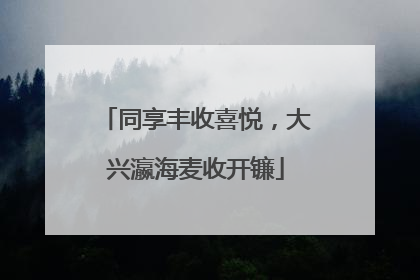 同享丰收喜悦，大兴瀛海麦收开镰