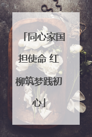 同心家国担使命 红柳筑梦践初心