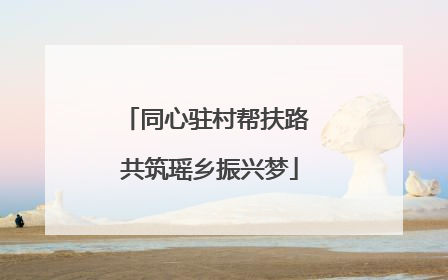 同心驻村帮扶路 共筑瑶乡振兴梦