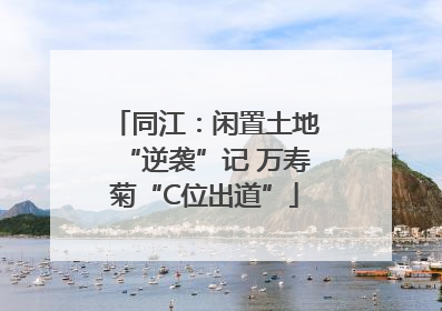 同江：闲置土地“逆袭”记 万寿菊“C位出道”