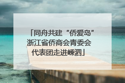同舟共建“侨爱岛” 浙江省侨商会青委会代表团走进嵊泗
