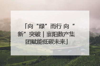 向“绿”而行 向“新”突破｜襄阳数产集团赋能低碳未来