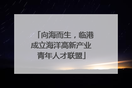 向海而生，临港成立海洋高新产业青年人才联盟