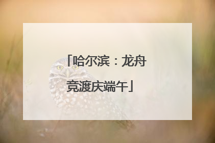 哈尔滨：龙舟竞渡庆端午