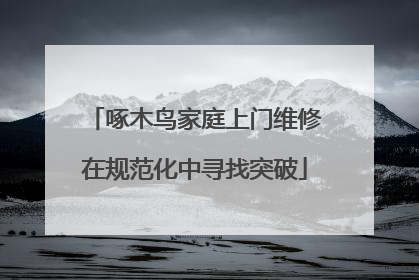 啄木鸟家庭上门维修在规范化中寻找突破