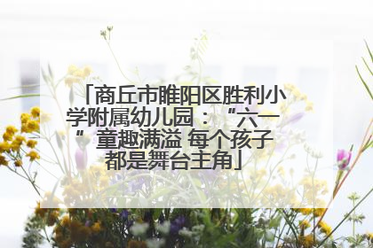 商丘市睢阳区胜利小学附属幼儿园：“六一”童趣满溢 每个孩子都是舞台主角