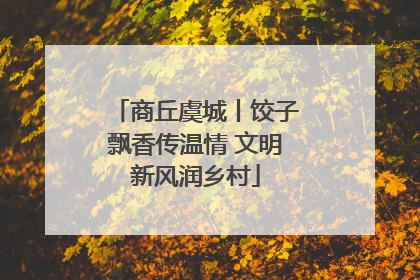商丘虞城丨饺子飘香传温情 文明新风润乡村
