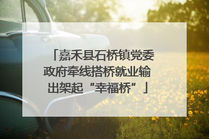 嘉禾县石桥镇党委政府牵线搭桥就业输出架起“幸福桥”