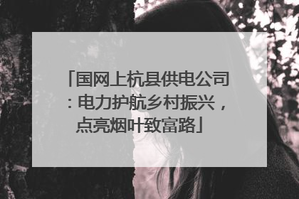 国网上杭县供电公司：电力护航乡村振兴，点亮烟叶致富路