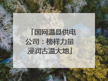 国网温县供电公司：榜样力量浸润古温大地
