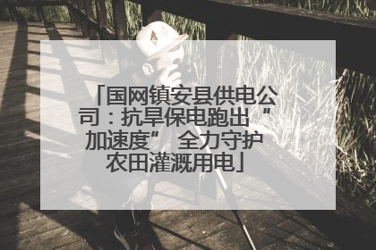 国网镇安县供电公司：抗旱保电跑出“加速度” 全力守护农田灌溉用电