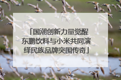 国潮创新力量觉醒 东鹏饮料与小米共同演绎民族品牌突围传奇