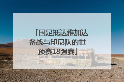 国足抵达雅加达备战与印尼队的世预赛18强赛