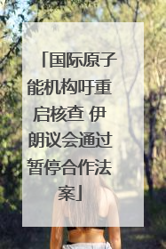 国际原子能机构吁重启核查 伊朗议会通过暂停合作法案