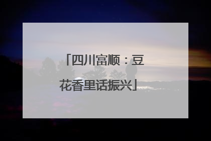 四川富顺：豆花香里话振兴