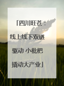 四川旺苍：线上线下双链驱动 小枇杷撬动大产业