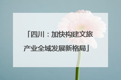 四川：加快构建文旅产业全域发展新格局