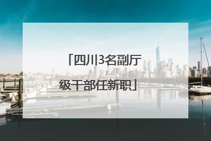 四川3名副厅级干部任新职