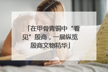 在甲骨青铜中“看见”殷商，一展纵览殷商文物精华