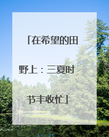 在希望的田野上：三夏时节丰收忙