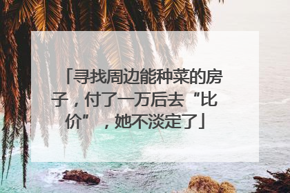 寻找周边能种菜的房子，付了一万后去“比价”，她不淡定了
