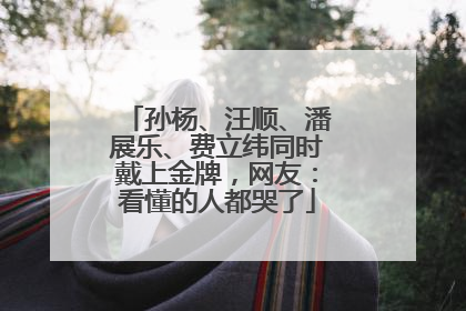 孙杨、汪顺、潘展乐、费立纬同时戴上金牌，网友：看懂的人都哭了