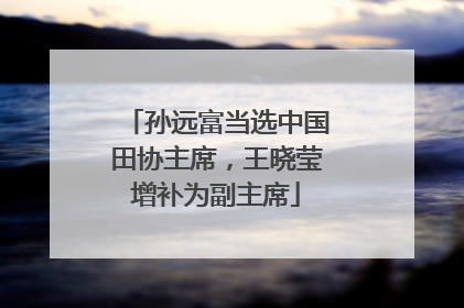 孙远富当选中国田协主席，王晓莹增补为副主席