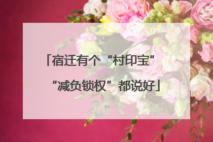 宿迁有个“村印宝” “减负锁权”都说好