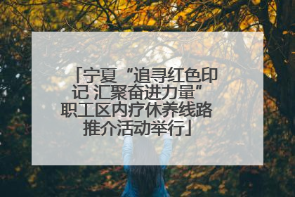 宁夏“追寻红色印记 汇聚奋进力量”职工区内疗休养线路推介活动举行