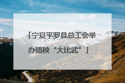 宁夏平罗县总工会举办插秧“大比武”