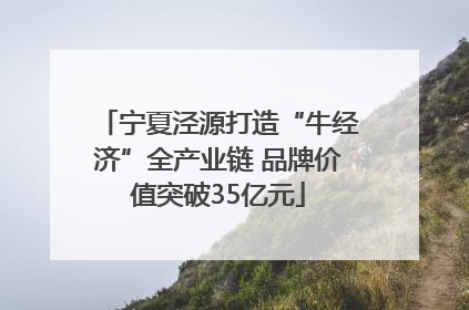 宁夏泾源打造“牛经济”全产业链 品牌价值突破35亿元
