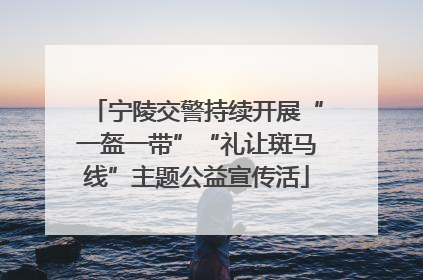 宁陵交警持续开展“一盔一带”“礼让斑马线”主题公益宣传活