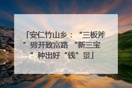 安仁竹山乡：“三板斧”劈开致富路 “新三宝”种出好“钱”景