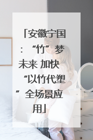 安徽宁国：“竹”梦未来 加快“以竹代塑”全场景应用