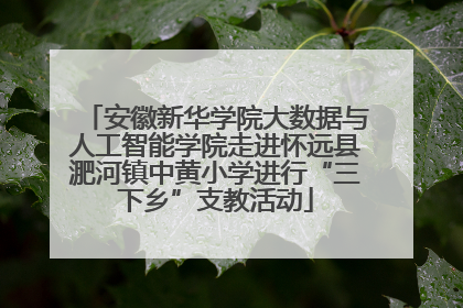 安徽新华学院大数据与人工智能学院走进怀远县淝河镇中黄小学进行“三下乡”支教活动