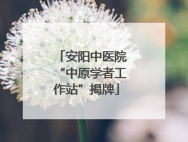 安阳中医院“中原学者工作站”揭牌