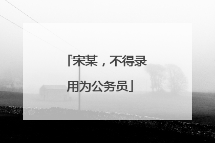 宋某，不得录用为公务员